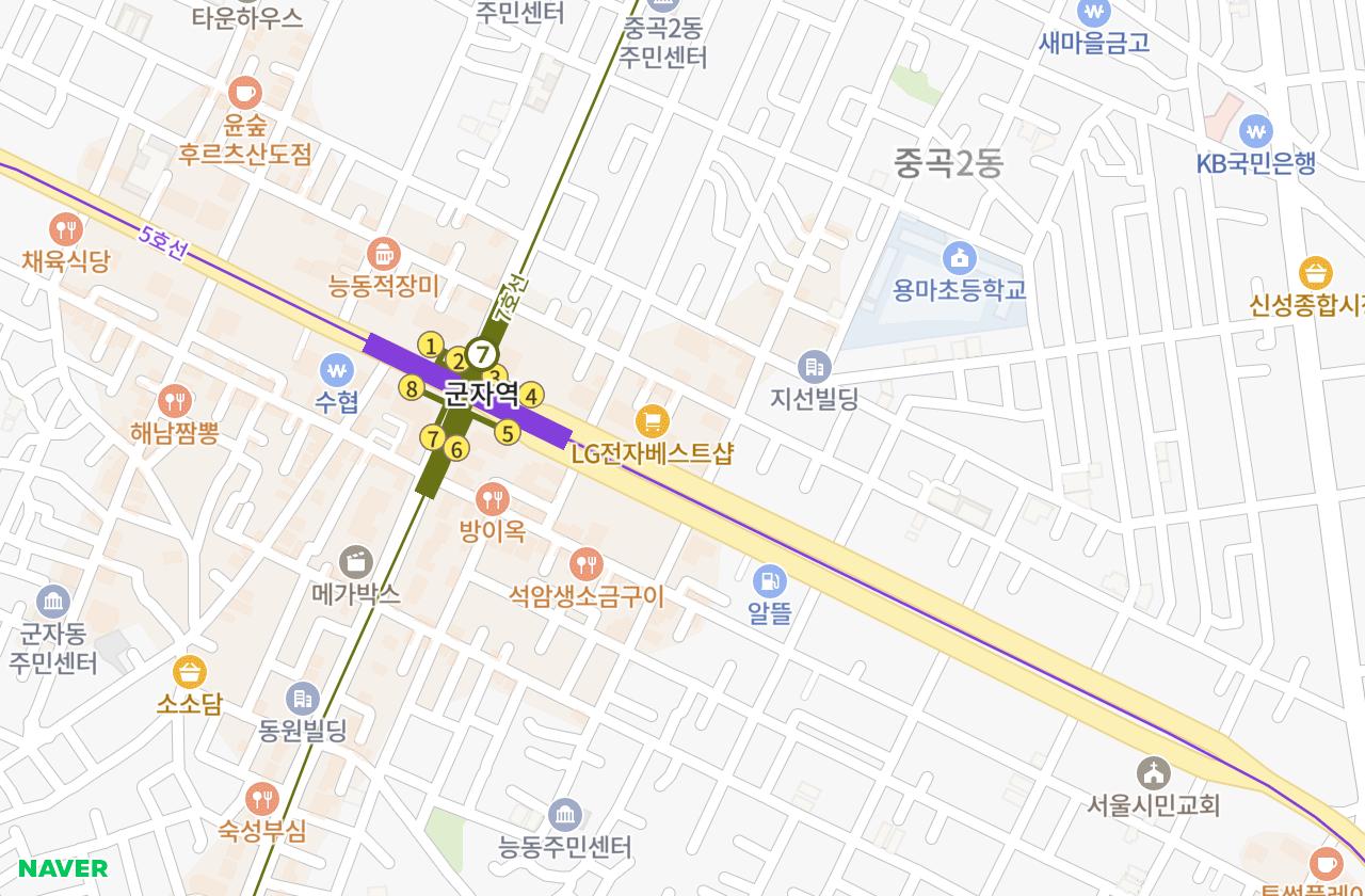 위치 지도