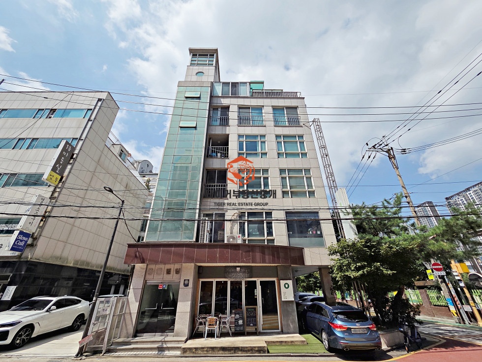 사진 11