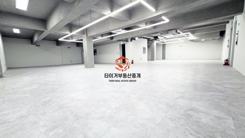 사진 8