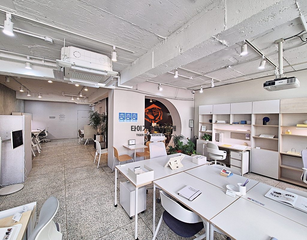 사진 12