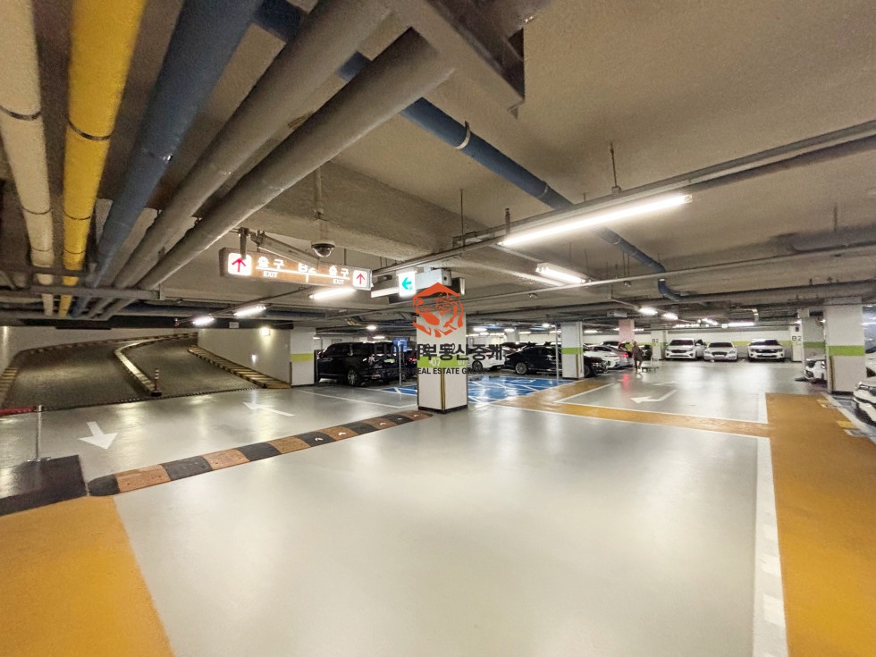 사진 11