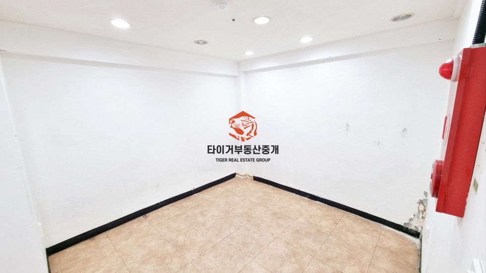 사진 6