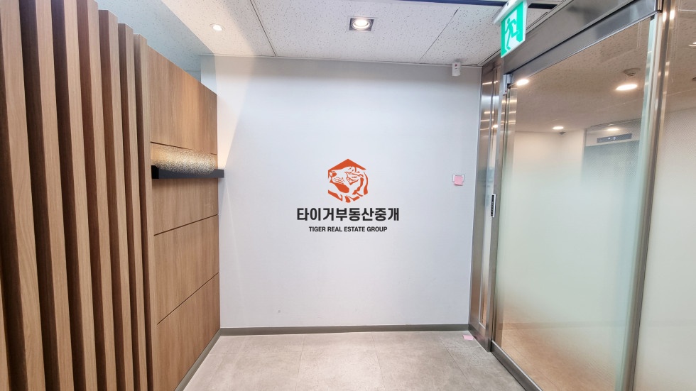 사진 12