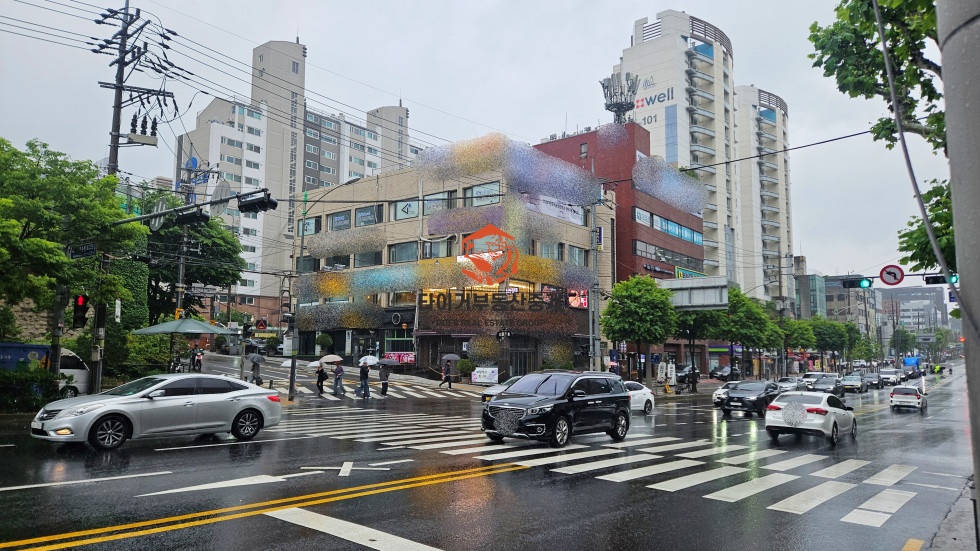 사진 2