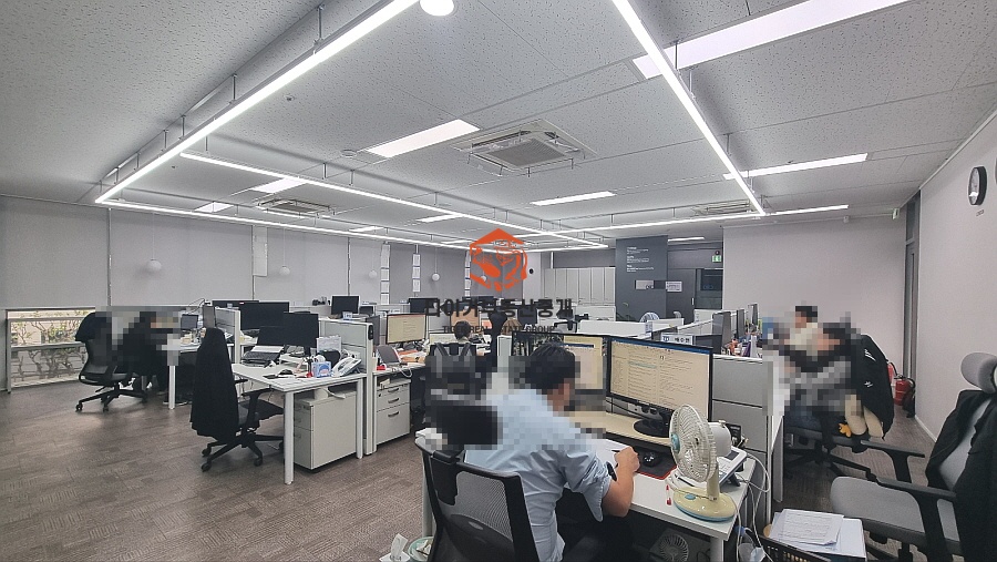 사진 5