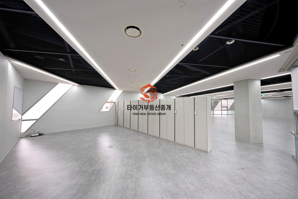 사진 12