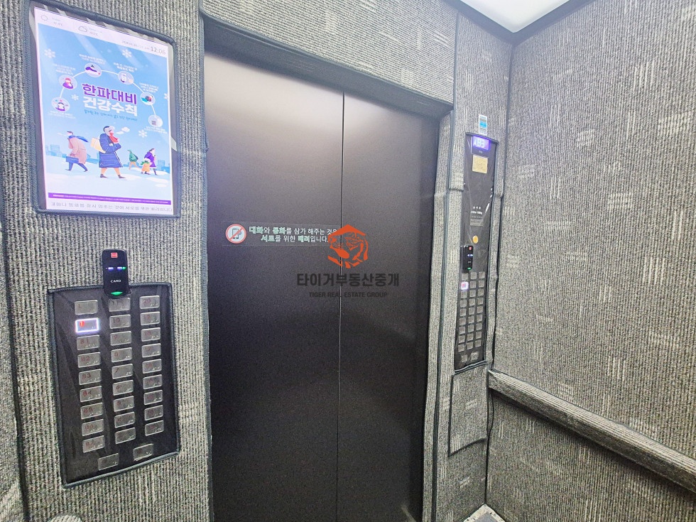 사진 6