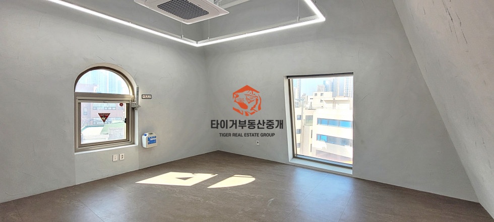 사진 5