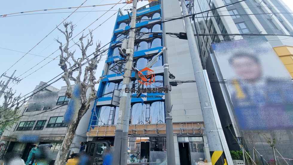 사진 11